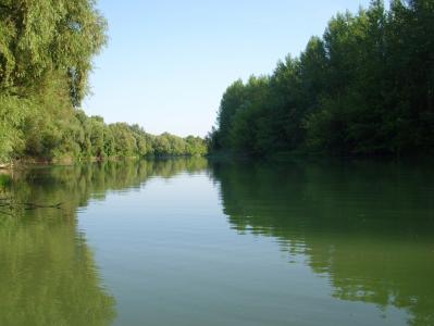 回水, 多瑙河, 分公司, 多瑙河, 水, 河, 自然