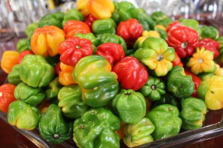 辣椒, 食品, 蔬菜, 收获, 新鲜, 健康, 绿色