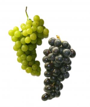 餐桌葡萄, 葡萄, 水果, 健康, 绿色, 蓝色, 食品