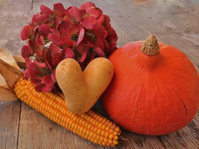 秋天, 收获, 颜色, 自然, 蔬菜, 南瓜, 橙色