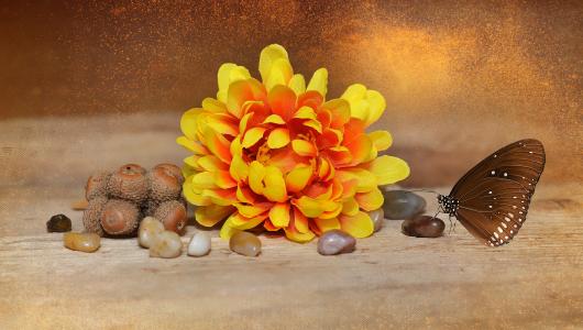 花, 开花, 绽放, 艺术插花, 布料花, 黄色, 石头