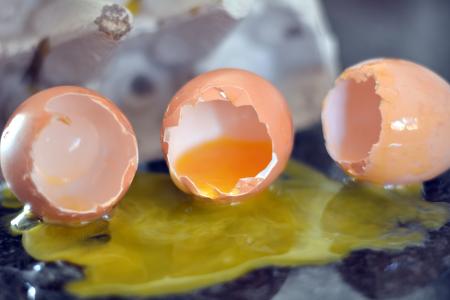 碎鸡蛋, 黄蛋黄, 食品