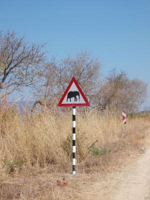 南非, 大象, 交通标志, 注意大象