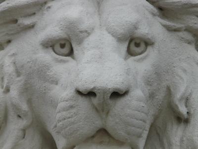 狮子, 雕像, 图, 石膏, 白色, 动物, 脸上