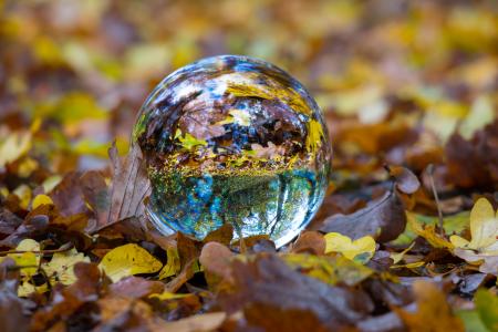 秋天, 玻璃球, 球, 秋天的落叶, 全球形象, 照片球, 叶子