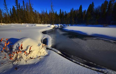 冬季景观, 雪, 冬天, 自然, 感冒, 河, 白色