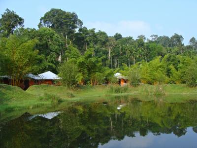 度假之家, 度假村, 绿色植物, 池塘, 反思, kadkani, 克达