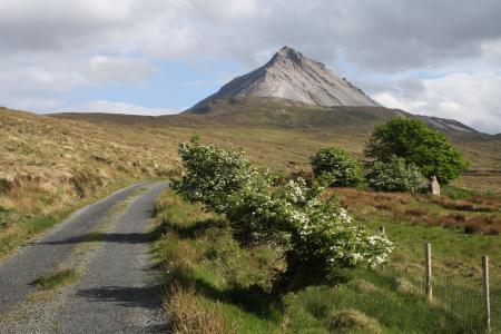 earthday, errigal, 爱尔兰, 多尼戈尔, 自然, 山, 景观