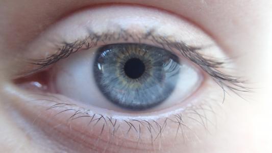 眼睛, 蓝色的眼睛, 眼球, 学生