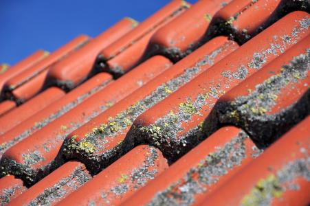 屋顶, 平铺, 粘土砖, 瓦, 红色, 对角, 兵马俑