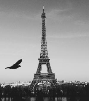 巴黎, 法国, 埃菲尔铁塔, 欧洲, 建筑, 具有里程碑意义, 法语