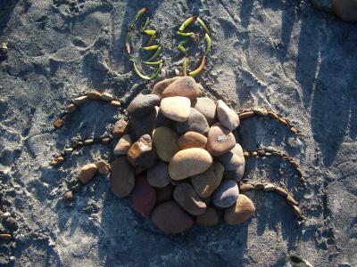 石头, bug, 图, 海滩, 沙子, 自然