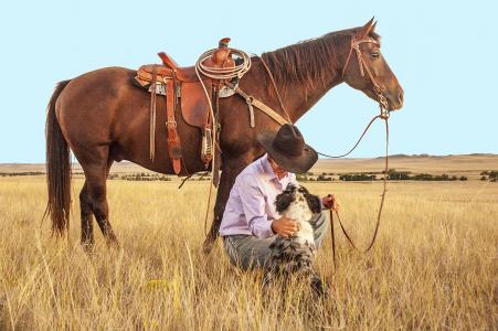 牛仔, 马, 狗, 牧场, 西方, 牧场, 牧场地