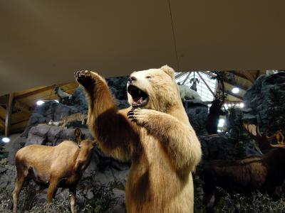 北极熊, 北极熊, 熊, 动物, 模型, 展览, 显示