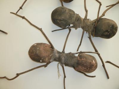 蚂蚁, 木蚁, 蚂蚁艺术