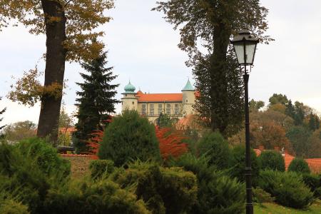 城堡, 波兰, 建筑, 建设, 公园, 秋天, 秋天