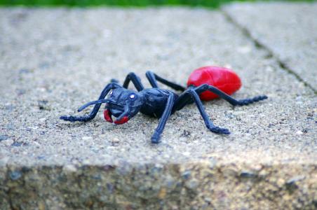 蚂蚁, 夏季, 玩具, 昆虫, bug, 可爱, 有趣