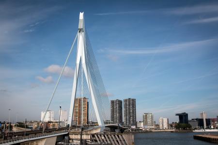 鹿特丹, 桥梁, 城市, 荷兰, 伊拉兹马斯桥, 建筑, 建筑的结构