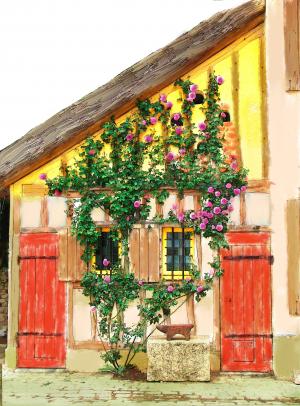 房子, 葡萄藤, 玫瑰, 法国