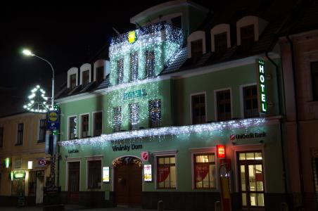 圣诞灯, led 装饰, 照明, led 圣诞, 灯串, 冬季仙境, 酒店