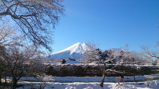 富士山, 蓝蓝的天空, 山, 世界文化遗产, 景观