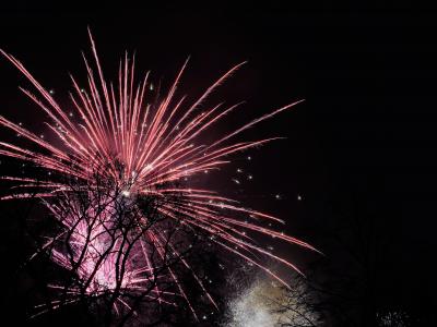 烟花, 天空, 新的一年的一天, 2017, 联邦政府, 新年除夕, 庆祝活动