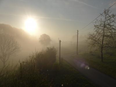 日出, 雾, 早上