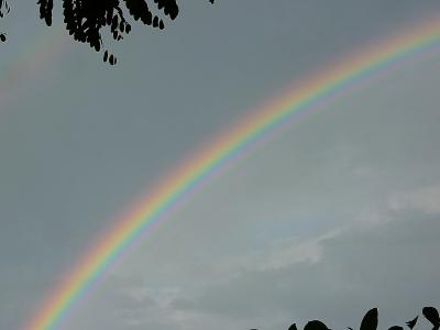 彩虹, 颜色, 拱, 雨, 自然, 多彩, 天空