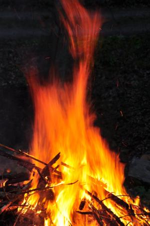 篝火, 消防, 烧伤, 冒险, walpurgis 固定, 木材, 火焰