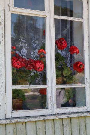 窗口, 特拉凯, 立陶宛