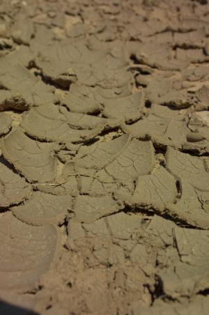 干旱, 气候变化, 粘性土, 脱水, 干, 裂缝