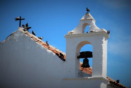 钟楼, 教会, 加那利群岛, 特内里费岛, 钟声, 鸟类, 屋顶