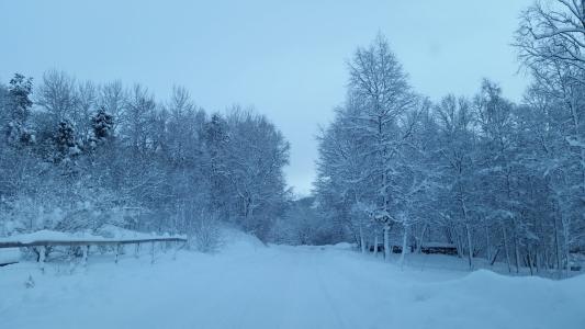 冬天, 冬季景观, 风景摄影, 斯堪的那维亚, 北欧, 挪威, 在寒冷