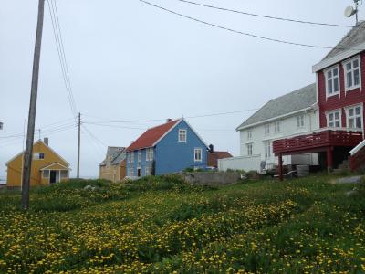 抓地力, 挪威, 老房子, 岛屿, 房子