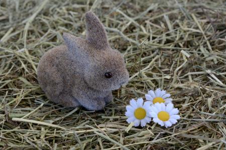 小兔子, 野兔, 复活节装饰, 干草, 复活节装饰, 甜, 兔子