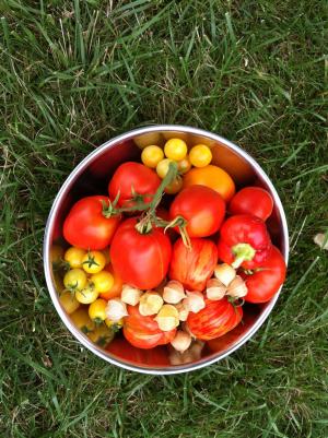 花园, 蔬菜, 番茄, 辣椒, 碗里, 健康, 夏季