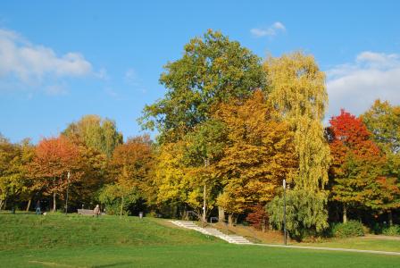 秋天, 多彩, 叶子, 秋天的落叶, 树木, 颜色, 秋天的心情