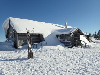 小木屋, 雪, 芬兰, 拉普兰, 冬天, 冬季景观, 感冒
