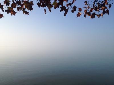 巴拉顿湖, 秋天, 叶子, 海