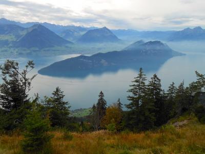 湖, 瑞士, 阿尔卑斯山, 全景