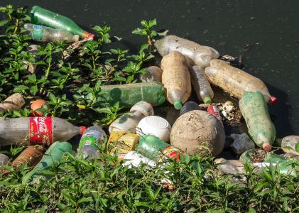 垃圾, 河松树, 废墟, 污染, 宠物瓶, 下水道