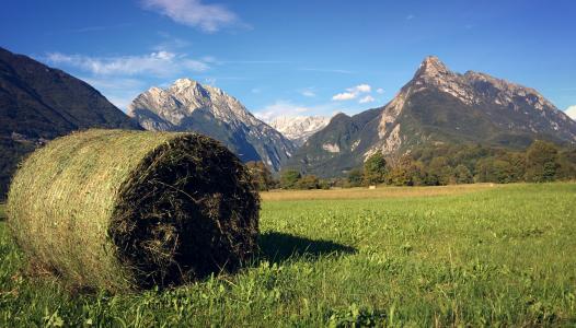 捆草, 斯洛文尼亚, 阿尔卑斯山, bovec, 山, 景观, 自然