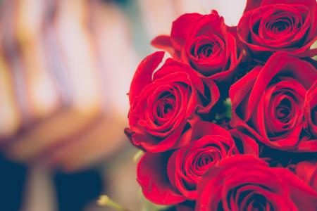 红色, 玫瑰, 花, 花瓣, 礼物, 爱, 模糊