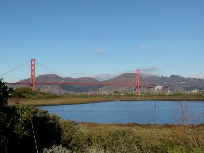 桥梁, 三藩市, 美国, 加利福尼亚州, 金门大桥, 感兴趣的地方, 海