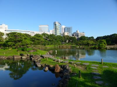 东京, 花园, 池塘, 绿色, 建筑, 蓝色, 天空
