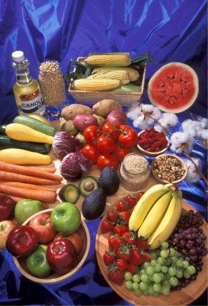 转基因食品, 玉米, 苹果, 西瓜, 大豆, 香蕉, 葡萄