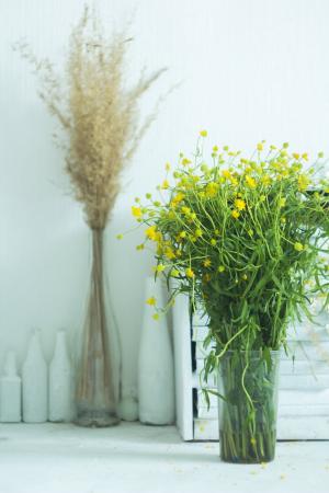 花瓶, 夏季, 黄色, 茛, 夏天的花, 植物, 自然