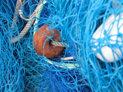 渔网, 网络, 捕鱼