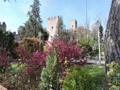 花园, 城堡, 春天, 托雷, 中世纪, 树, 绽放