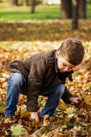 在公园里蹒跚学步, 孩子捡树叶, 秋天, 户外, 孩子在玩, 游戏, 棕色的叶子